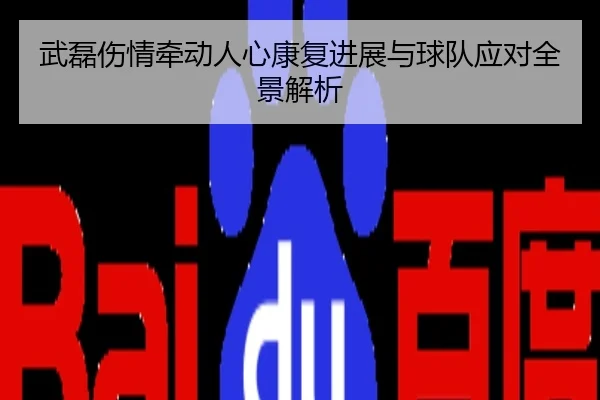 武磊伤情牵动人心康复进展与球队应对全景解析