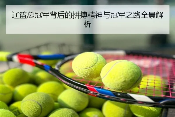 辽篮总冠军背后的拼搏精神与冠军之路全景解析