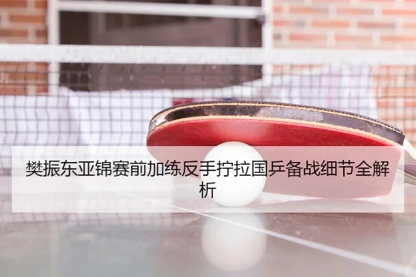 樊振东亚锦赛前加练反手拧拉国乒备战细节全解析