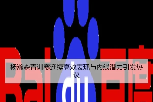 杨瀚森青训赛连续高效表现与内线潜力引发热议